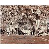 Image 1 : Joe Namath
