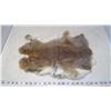 Image 2 : TWO BROWN RABBIT PELTS