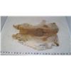 Image 5 : TWO BROWN RABBIT PELTS