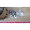 Image 2 : LOT OF SEA SHELLS