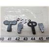 Image 1 : 2 freezer keys, 1-water hydrant key, 1-old black plastic key,4-keys