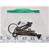 Image 1 : 5-old skeleton keys,5-keys