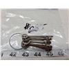 Image 1 : 5-old skeleton keys,5-keys