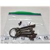 Image 1 : 5-old skeleton keys,5-keys