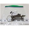 Image 1 : 5-old skeleton keys,5-keys