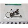 Image 1 : 5-old skeleton keys,5-keys