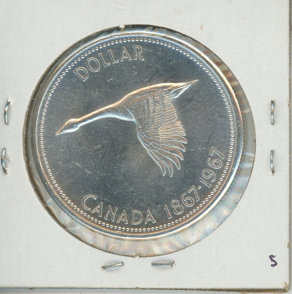 18671967 Canadian Goose Silver dollar UNC,1Canadian dollar Schmalz Auctions 18671967 Canadian Goose Silver dollar UNC,1Canadian dollar Schmalz Auctions