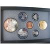 Image 2 : 1989 CANADIAN PRESTIGE DOUBLE DOLLAR SET