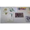 Image 3 : 24 vintage Holiday Postcards
