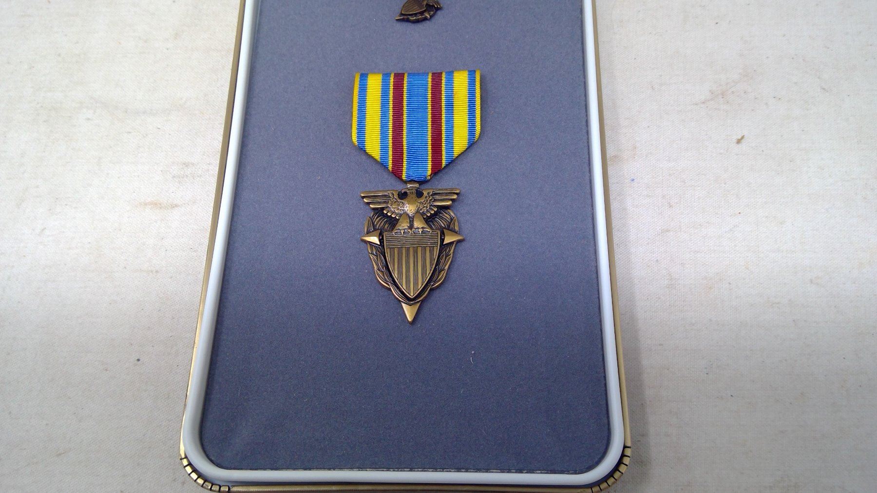 DISTINGUISHED CAREER SERVICE AWARD DISTINGUISHED CAREER SERVICE AWARD