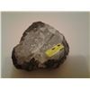 Image 2 : Orthocera's sculptured plate fossils one of a kind- over 450 million years old