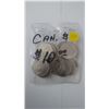 Image 1 : BAG OF NICKEL DOLLARS (10)