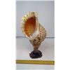 Image 1 : TRITON CONCH SEASHELL FREESTANDING ON CUSTOM WAX BASE- BOUGHT IN SOUTH KOREA 1998.