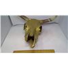 Image 2 : LONGHORN CATTLE SKULL - 18" X 21"