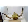Image 5 : LONGHORN CATTLE SKULL - 18" X 21"