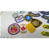 Image 6 : LOT OF ASSORTED PATCHES