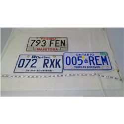 THREE LICENSE PLATES