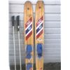 Image 2 : WATER SKIS & SNOW SKIS & POLES - CABIN DECOR