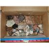 Image 1 : BOX OF COLLECTABLE ROCKS & SHELLS