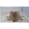 Image 1 : Brown Rabbit Pelt