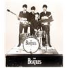 Image 1 : The Beatles, Anthology 1" promotional display."