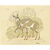 Image 2 : Navajo Silkscreen Print by Harrison Begay