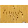 Image 2 : Northwest Coast Carved Sun Plaque