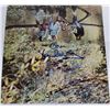 Image 2 : Signed Paul McCartney Wild Life Album Cover