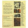Image 4 : Atlantic City POP FESTIVAL Concert Handbill featuring  JANIS JOPLIN. Frank  Zappa , JEFFERSON AIRPLA