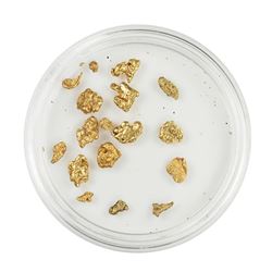 Lot of Gold Nuggets 2.69 grams Total Weight
