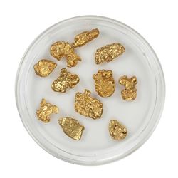 Lot of Gold Nuggets 5.18 grams Total Weight
