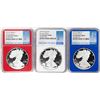 Image 1 : Set of 2019-W $1 Proof American Silver Eagle Coins NGC PF70 Ultra Cameo Red White Blue