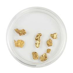 Lot of Gold Nuggets 3.09 grams Total Weight