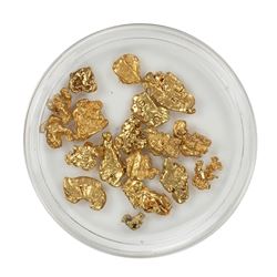 Lot of Gold Nuggets 6.36 grams Total Weight
