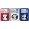 Image 1 : Set of 2019-W $1 Proof American Silver Eagle Coins NGC PF70 Ultra Cameo Red White Blue