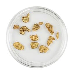 Lot of Gold Nuggets 4.06 grams Total Weight