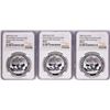 Image 1 : Lot of (3) 2009 China 10 Yuan Modern Commemorative Silver Panda Coins NGC MS67