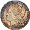 Image 3 : 1901-O $1 Morgan Silver Dollar Coin ANACS MS63 Amazing Toning