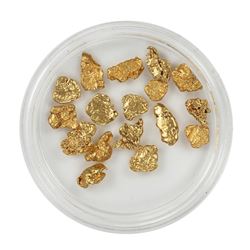 Lot of Gold Nuggets 5.82 grams Total Weight