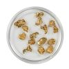 Image 2 : Lot of Gold Nuggets 5.73 grams Total Weight
