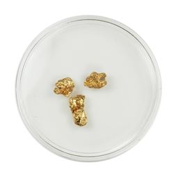 Lot of Gold Nuggets 1.85 grams Total Weight
