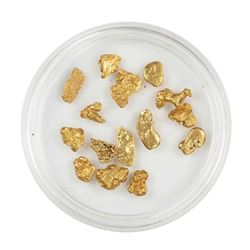 Lot of Gold Nuggets 4.50 grams Total Weight