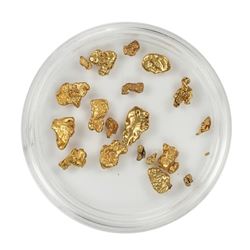 Lot of Gold Nuggets 5.02 grams Total Weight