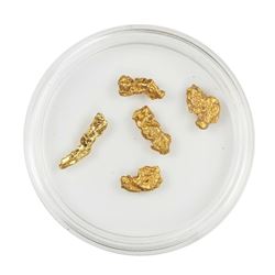 Lot of Gold Nuggets 3.01 grams Total Weight