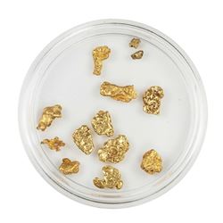 Lot of Gold Nuggets 3.91 grams Total Weight