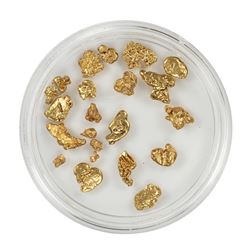 Lot of Gold Nuggets 5.59 grams Total Weight