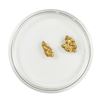 Image 2 : Lot of Gold Nuggets 2.34 grams Total Weight