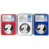 Image 1 : Set of 2019-W $1 Proof American Silver Eagle Coins NGC PF70 Ultra Cameo Red White Blue