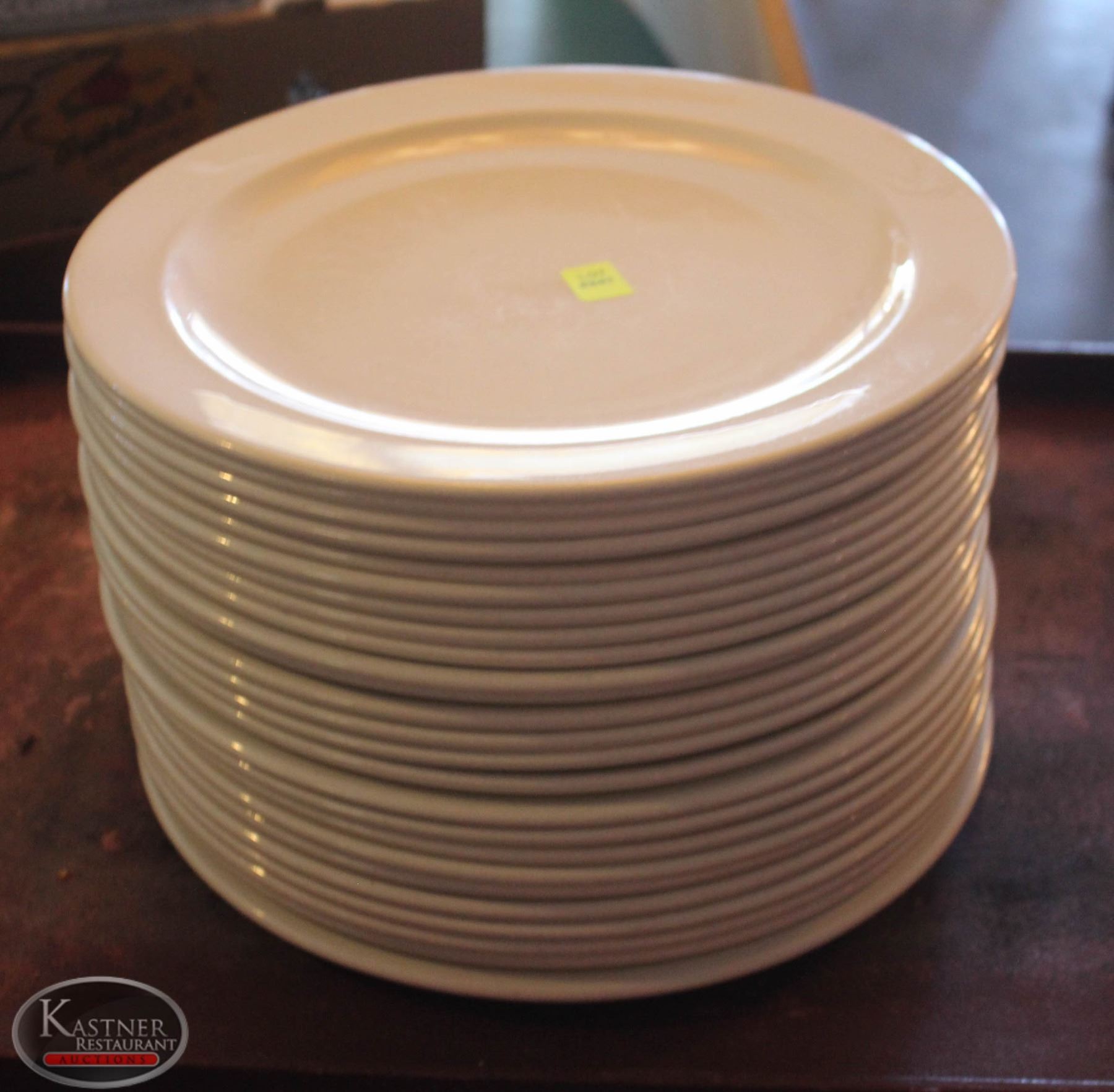 LOCATION 1. LOT OF 25 DUDSON 12" PORCELAIN DINNER PLATES