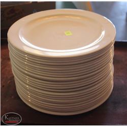 LOCATION #1. LOT OF 25 DUDSON 12" PORCELAIN DINNER PLATES